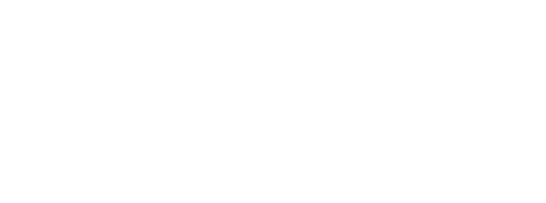LOGO PPAL MINZER BLANCO-2